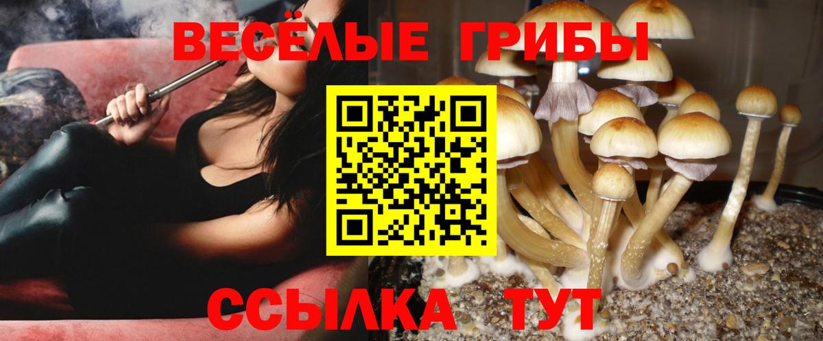 Жигулёвск  Псилоцибиновые грибы мухоморы  Вход с VPN 